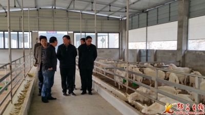 市畜牧局长董瑞明调研香口畜牧产业扶贫