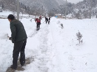 三官洞林区全区上下党员群众自发上路扫雪除冰