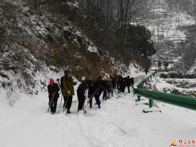 槐树林特场： 干群共参与 齐力抗雪灾