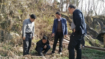  郧西“大自然之肺”的环境保卫战