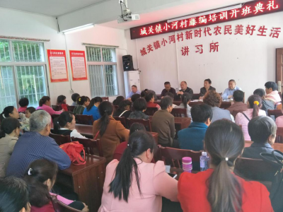 城关镇小河村举办藤编培训班