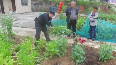 不漏一村一户、一地一苗 