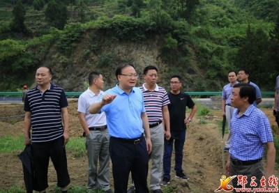 查宏：强化产业扶贫 带动农户增收