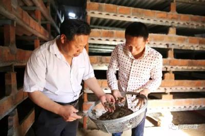 【攻坚冲刺进行时】火车岭上的“火车头”——记河夹镇火车岭村党支部书记柯昌胜