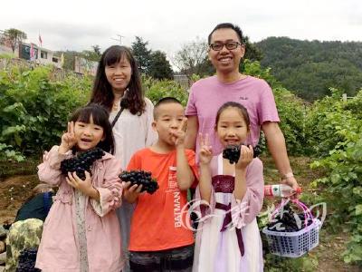 郧西河夹举办野葡萄采摘节