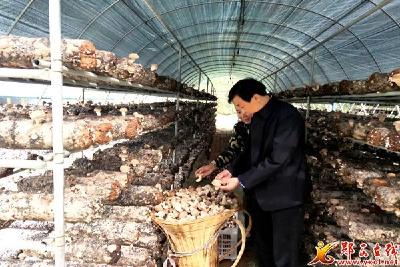 六郎乡：注重产业引领 筑牢脱贫根基