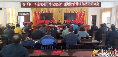 香口乡：持续推进主题教育走实走深