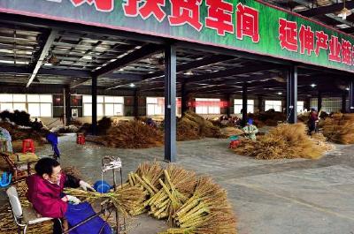 “扫帚大王”胡朝柱带领村民扫“穷根”