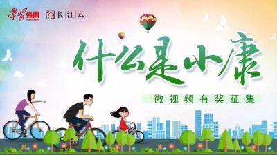标题：《什么是小康》微视频有奖征集