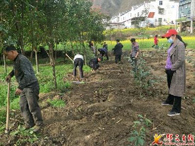涧池乡：植树节造林忙 美好家园换新装