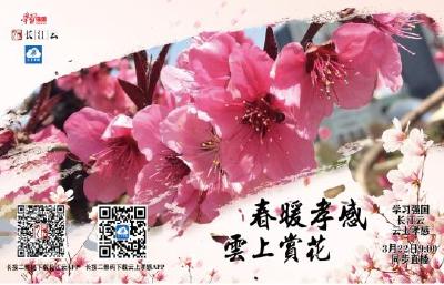 标题：居家抗疫 不负春光！春暖孝感 云上赏花