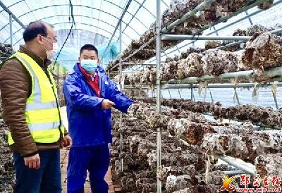 六郎乡：发展特色产业促近千民工家门口就业