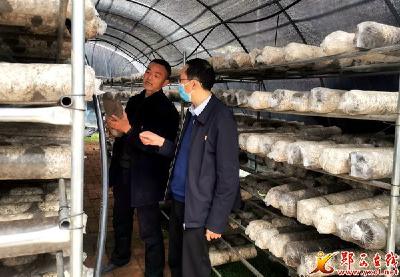 县医院：毫不松懈发力脱贫攻坚
