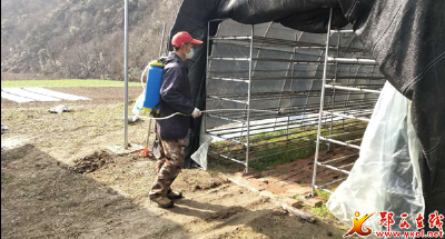 县税务局驻村工作队： 战“疫”不松劲 扶贫备耕忙
