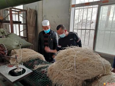 观音镇下桃园村红薯粉条加工引客来考察