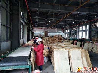 河夹镇:多渠道解决农村劳动力本地务工就业