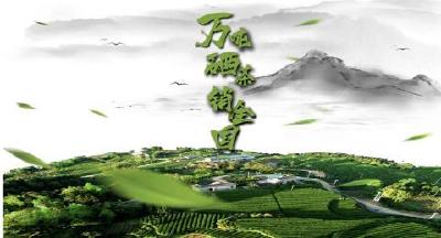 直播 | 一起见证“恩施万吨硒茶销全国”