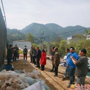城关镇:培训菇农 提升产业效益