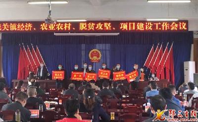 城关镇经济、农业农村、脱贫攻坚、项目建设工作会议召开