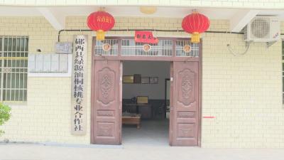 「脱贫故事」景阳：栽植摇钱树 培植绿色银行