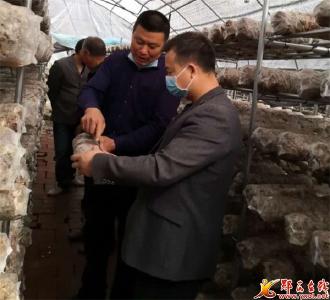 涧池乡：香菇种植培训两手抓 贫困户增收有希望