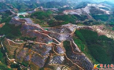 百舸争流气象新 ——郧西河夹镇脱贫攻坚重点项目拉练侧记