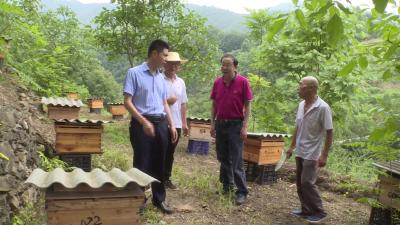 决胜全面小康·决战脱贫攻坚  陈世才：勤劳酿出“甜蜜”的生活