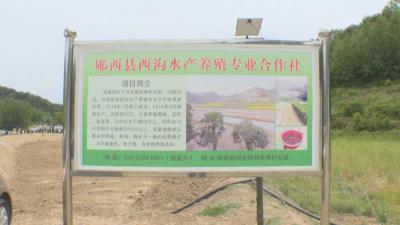 「决胜全面小康·决战脱贫攻坚」刘家湾村发展水产养殖增加农民收入