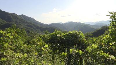 决胜全面小康·决战脱贫攻坚   李善荣:自强不息奔富路 