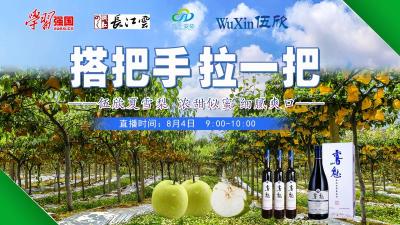 直播 | 走进湖北安陆：千亩夏雪梨熟了，邀您来品尝