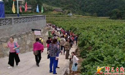 河夹镇特色产业发展亮点纷呈