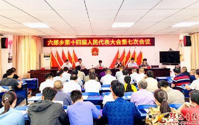 六郎乡：助推乡村全面振兴 人大代表在行动