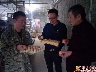 郧西县观音镇积极为合作社发展当好“金牌店小二”