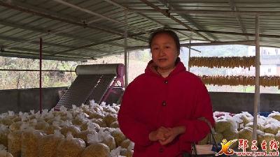 徐成英：我想和乡亲们一起致富