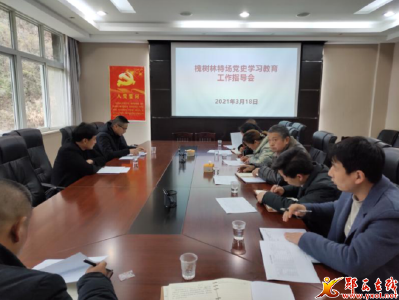 槐树林特场召开党史学习教育工作指导会
