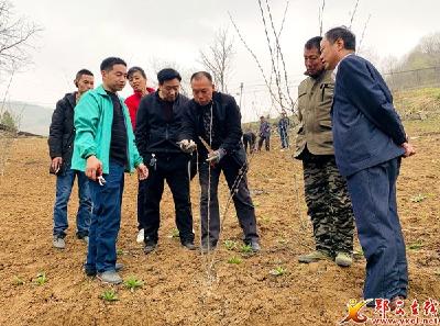 六郎乡：巩固万亩花椒 助力乡村振兴