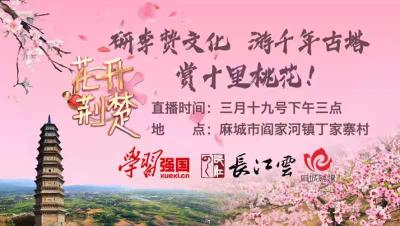 直播 | 花开荆楚：桃之夭夭 灼灼其华 古镇阎河邀您“云”赏桃花