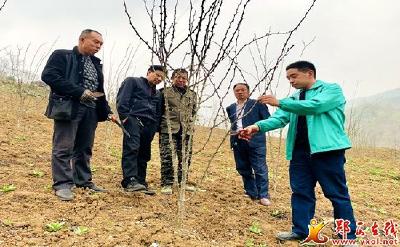 六郎乡：培育高素质农民 巩固万亩花椒