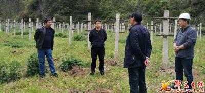 三官：强化党建引领，优化项目环境