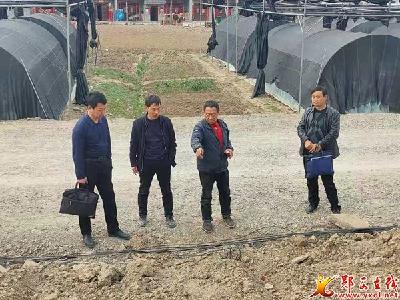 湖北口回族乡小新川村：扎实开展"我为群众办实事"工作