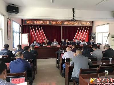 湖北口：运用“乡村振兴和民生领域政策落实监察系统”监督检查