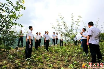 六郎乡召开巩固脱贫攻坚成果同乡村振兴有效衔接现场交流会