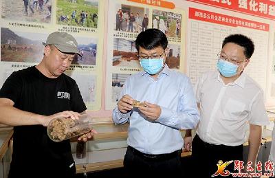 王兵:更好统筹安全发展 全面推进乡村振兴