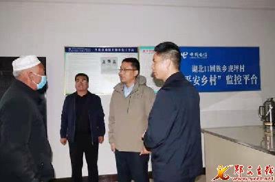 王兵在湖北口回族乡调研强调：壮大特色产业 助力乡村振兴