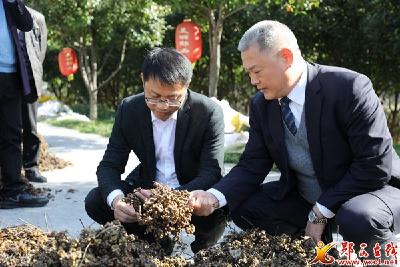 王兵：加快推进新型工业化 助推县域经济提质增效