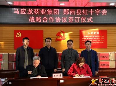 马应龙药业集团来我县开展捐赠活动