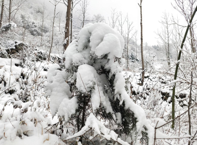 湖北口：迅速落实低温雨雪天气防范应对工作
