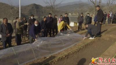 郧西：农业技术培训到田间 奏响春耕生产“椒”响曲