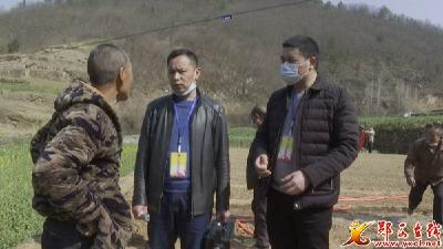 郧西：中沟村 春季生产“椒”唱主角