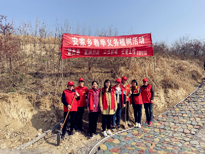 安家乡：植树造林，为安家增添一抹绿